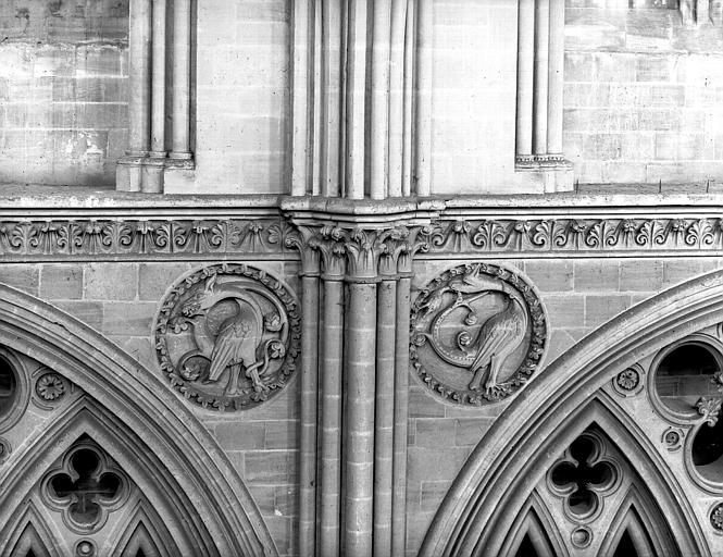 Etage du triforium : Médaillons sculptés