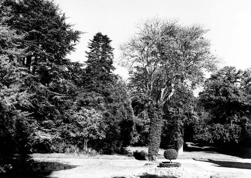 Arbres du parc