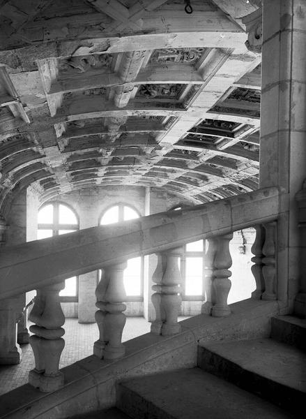 Intérieur. Grand escalier François Ier et voûte à caissons