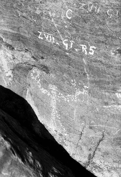 Inscriptions rupestres. Lac des Merveilles inférieur, plan d'Alice : zone 7