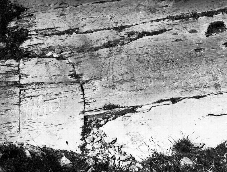 Inscriptions rupestres, Masso Erratico côté sud, zone 11