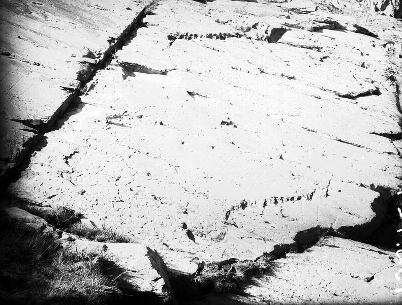 Inscriptions rupestres. Vallée de Fontanalba, rocher long