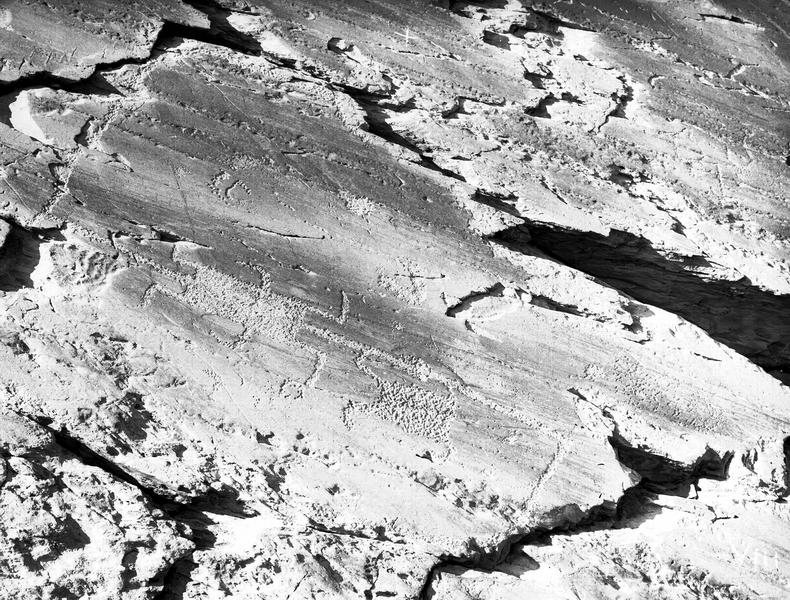 Inscriptions rupestres. Vallée de Fontanalba, rocher long