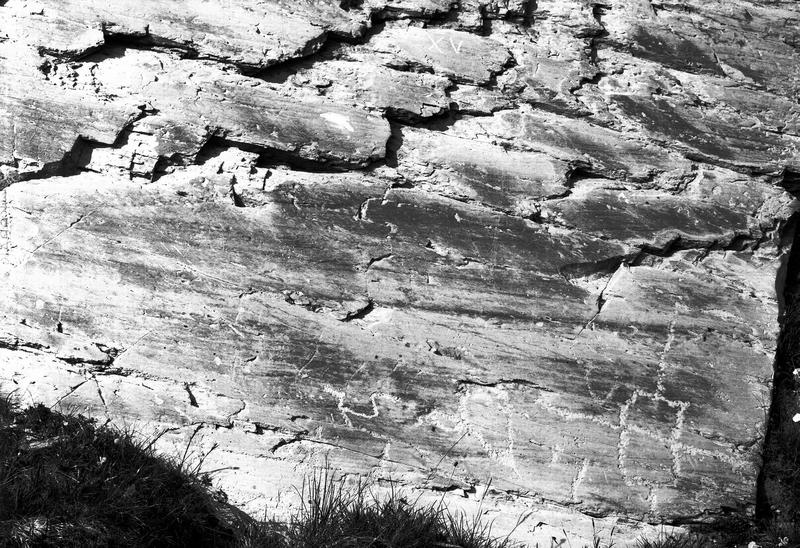 Inscriptions rupestres. Vallée de Fontanalba, rocher long