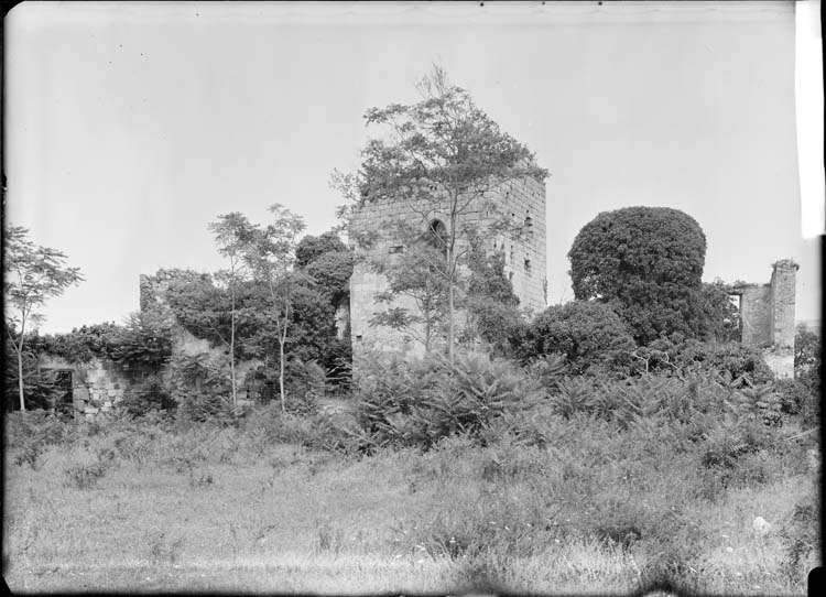 Face ouest du donjon