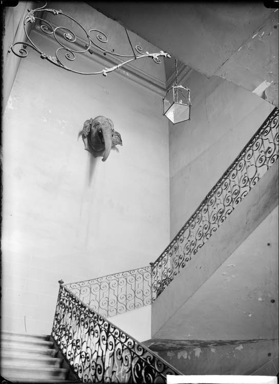 Intérieur, grand escalier dans l'ancien donjon