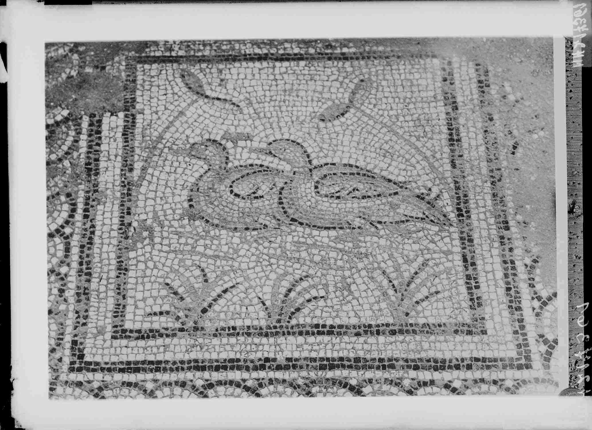 Mosaïque romaine