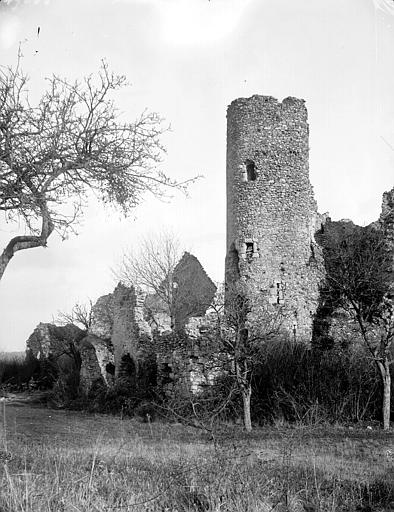 Donjon ; ruine