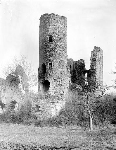 Donjon ; ruine