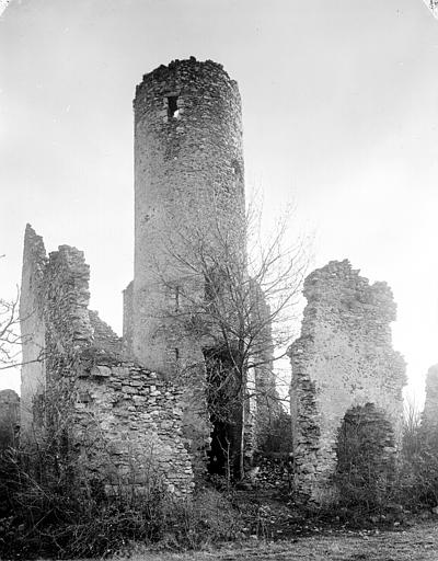 Donjon, vue nord-ouest