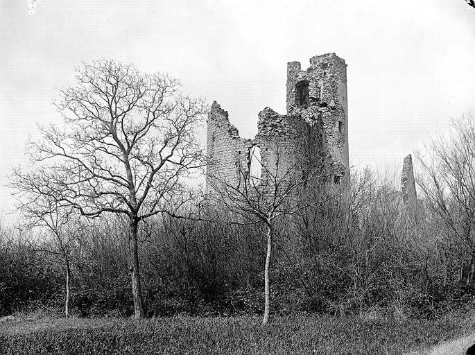 Donjon et tour côté est