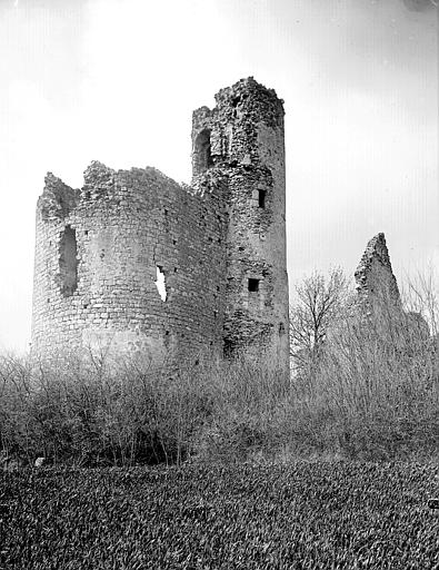 Donjon et tour côté est en hauteur