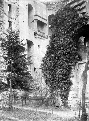 Ruines de la partie intérieure du château