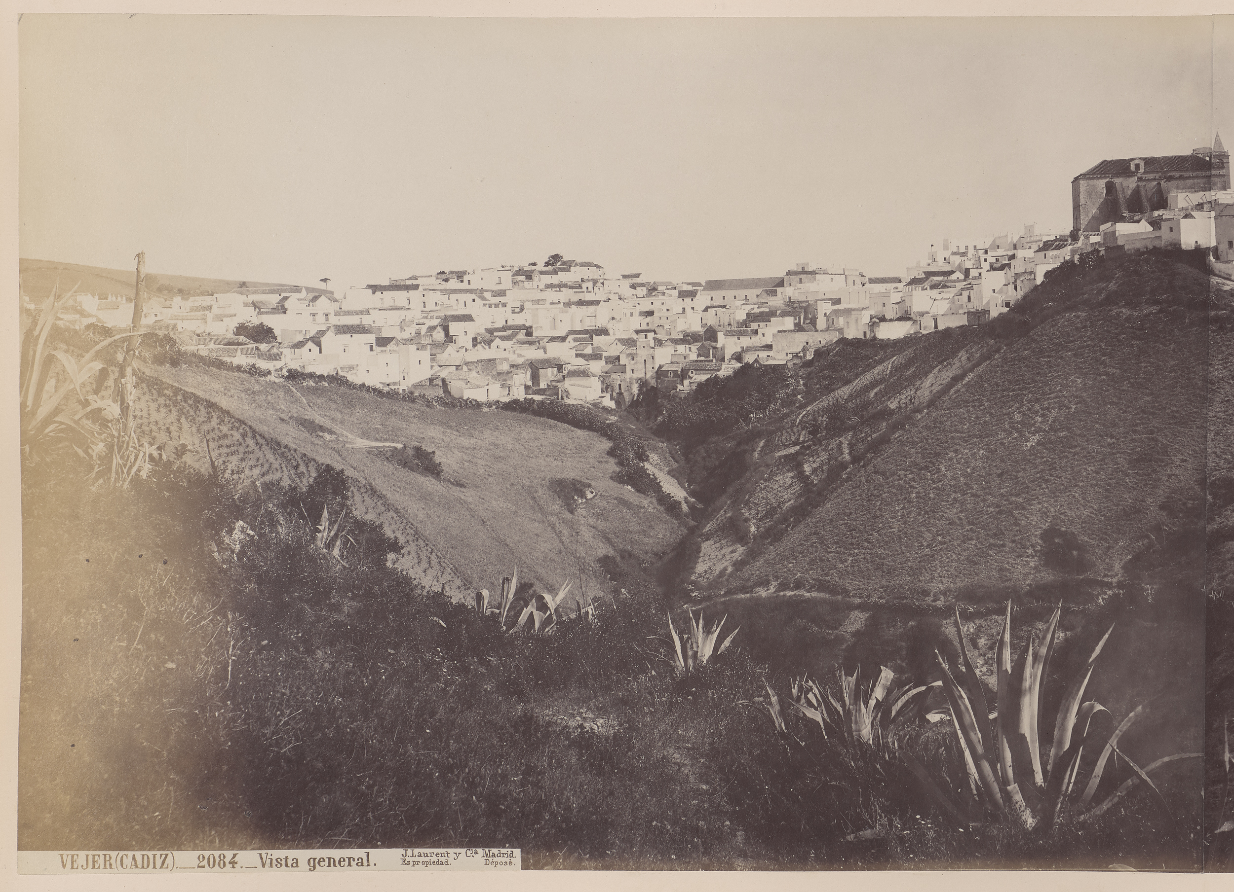 Vue générale