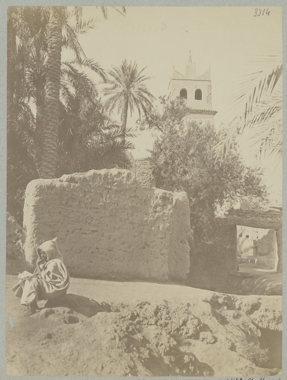 Le minaret derrière la végétation