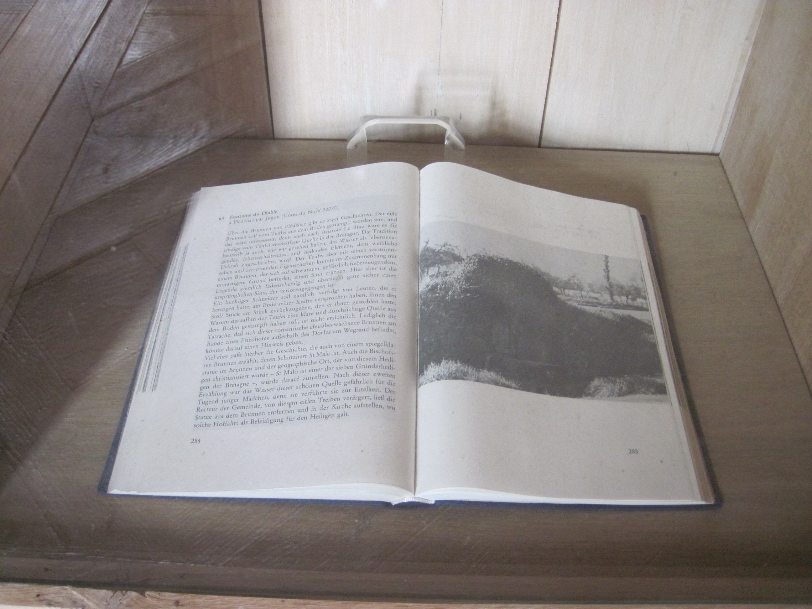 Livre : Heilrituale an Bretonischen Quellen