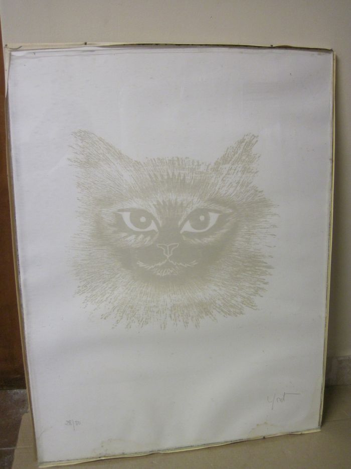 Estampe : tête de chat