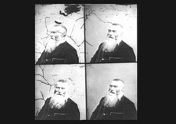 Alphonse Karr, Romancier, journaliste et pamphlétaire français