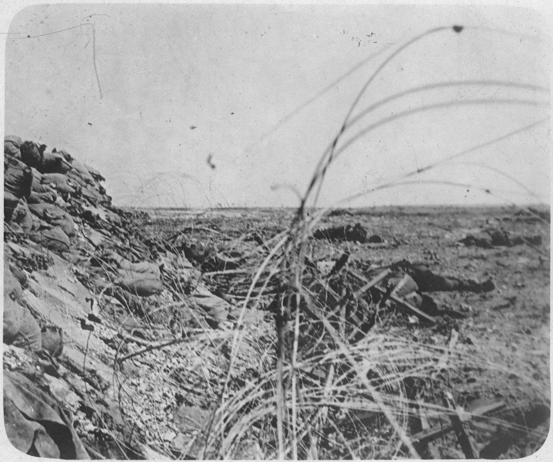 Péninsule de Gallipoli. Cadavres dans les fils de fer