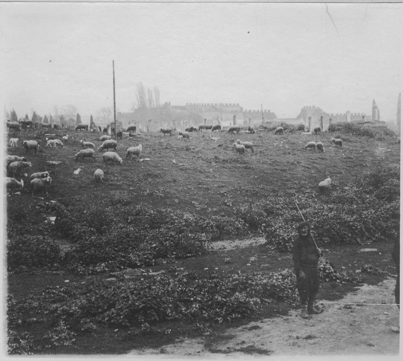 Près de Salonique. Sur la route du Monastir. Berger grec et son troupeau de moutons dans un cimetière turc ; [Les remparts]