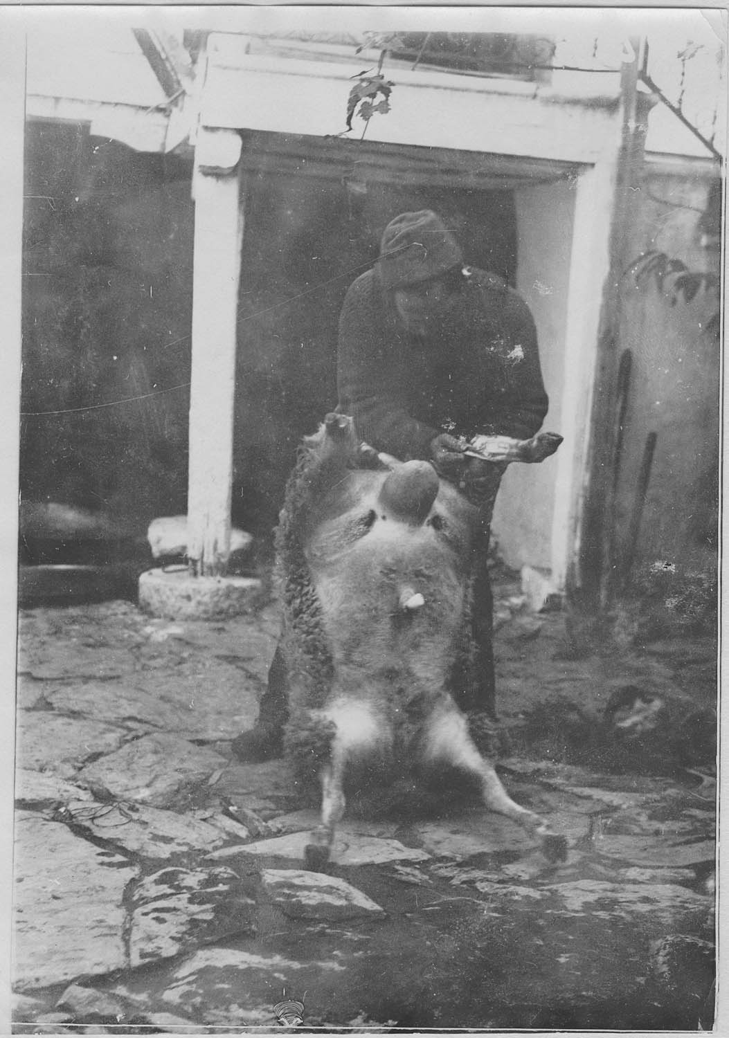 Salonique. Fêtes turques. Le sacrifice du mouton ; [Fête du mouton]