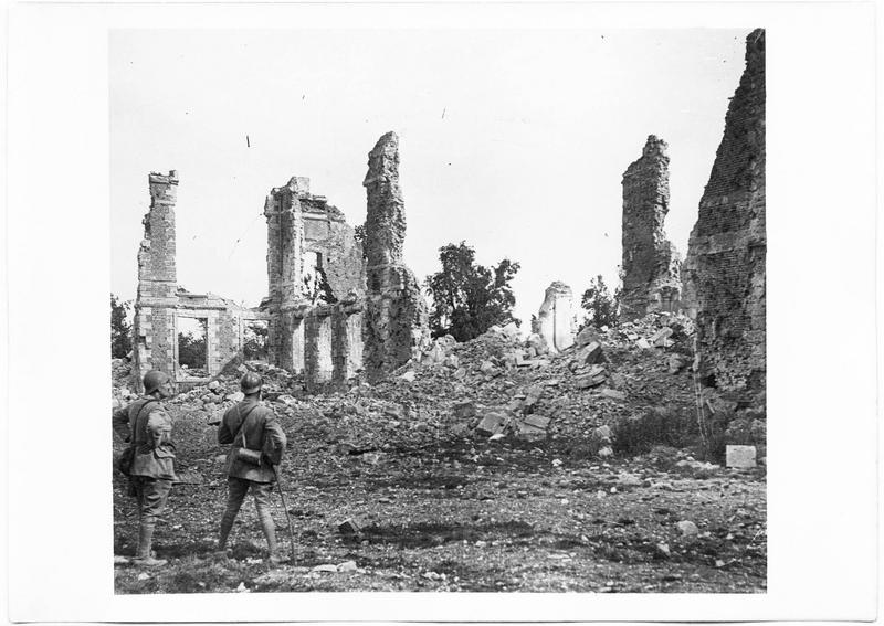 Les ruines du château, vue prise du parc