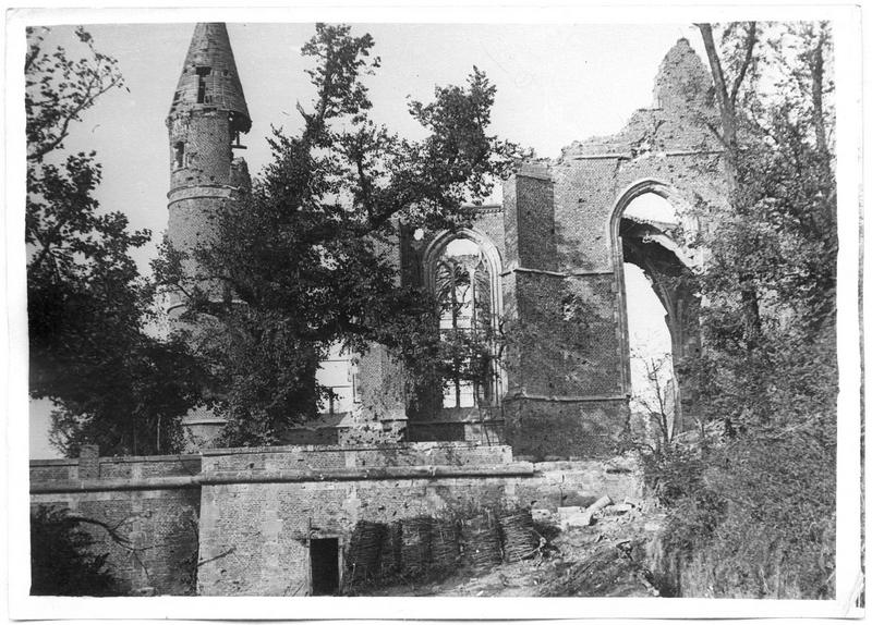 Les ruines du château, vue prise du parc