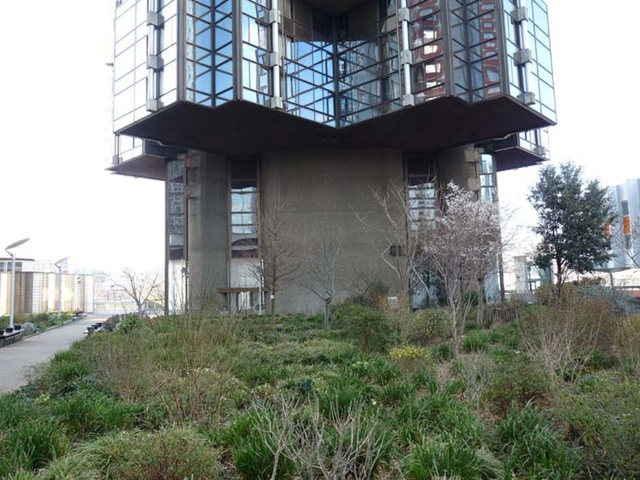 vue partielle du bâtiment depuis le jardin disparu