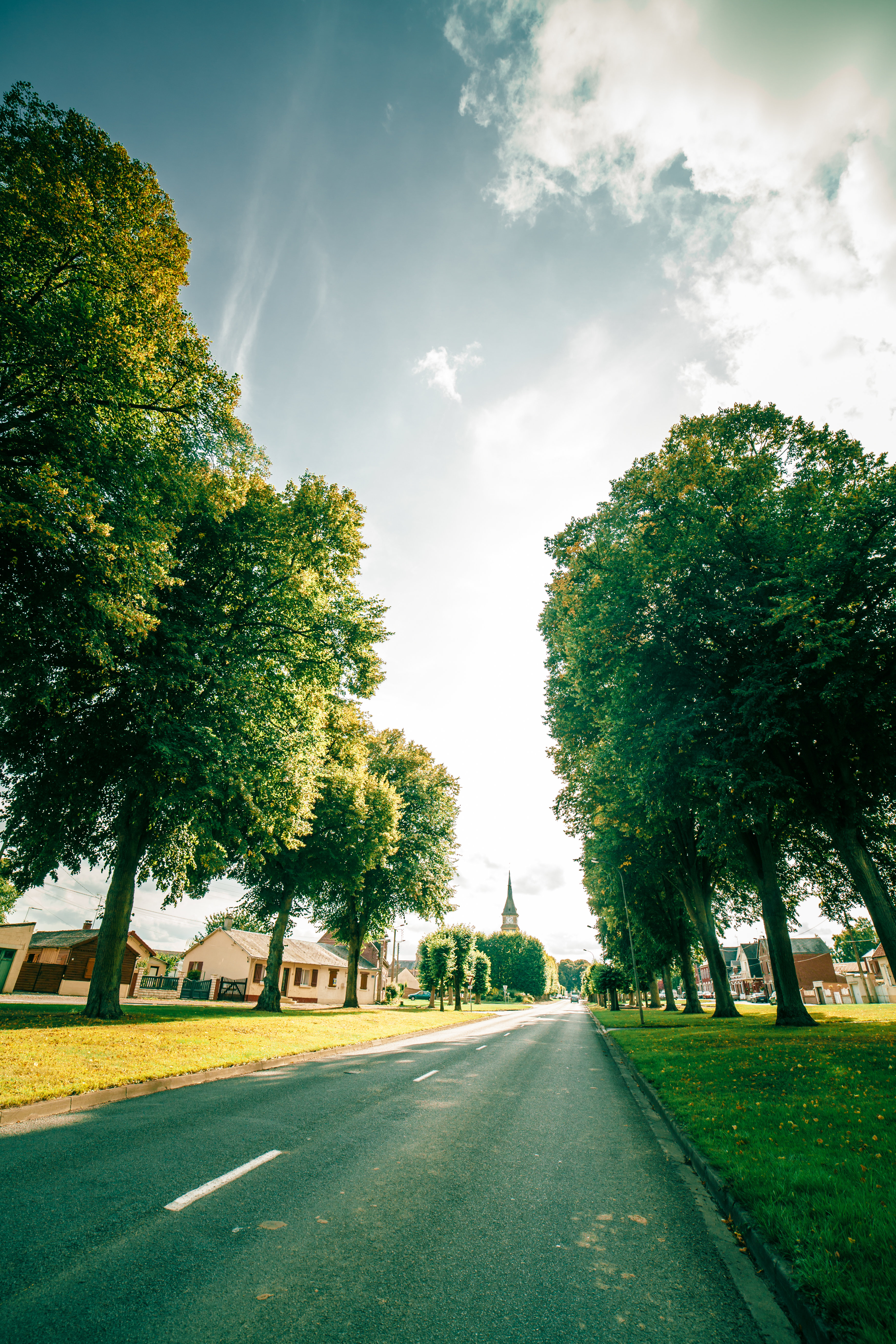 Chaulnes-mairie et allée d'arbres-phot. PETR
