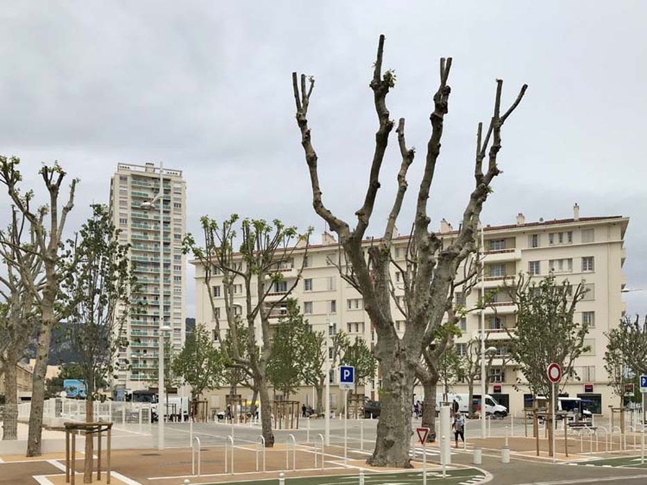 vue générale du bâtiment dans son environnement