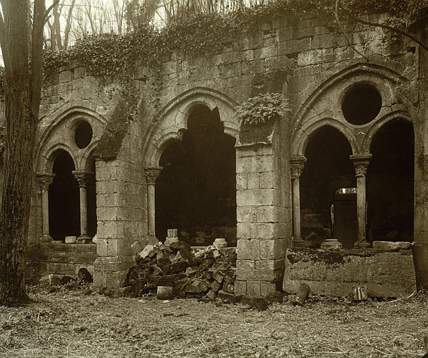 Cloître (ruines) : arcades