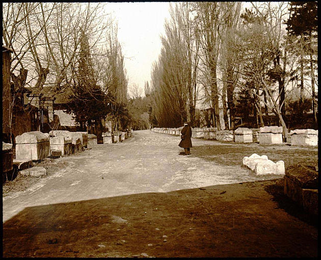 Allée de sarcophages