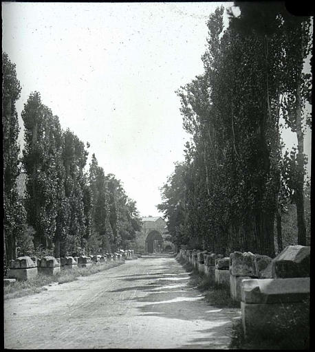 Allée de sarcophages