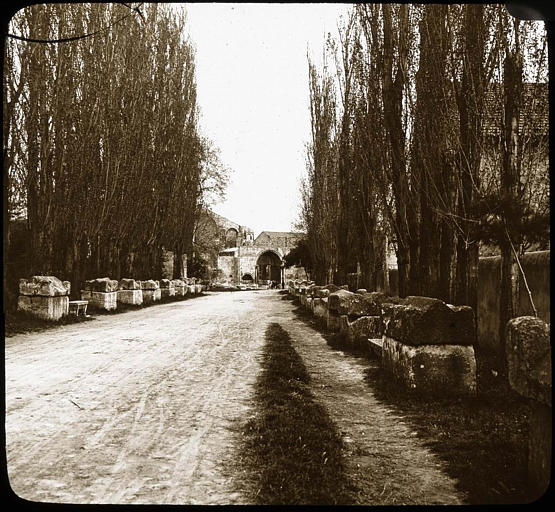 Allée de sarcophages