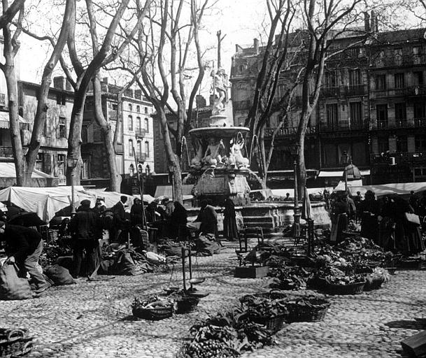 Ville basse : le marché autour de la fontaine