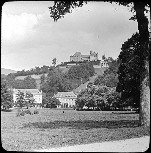 Le château et les hôtels vus de la prairie