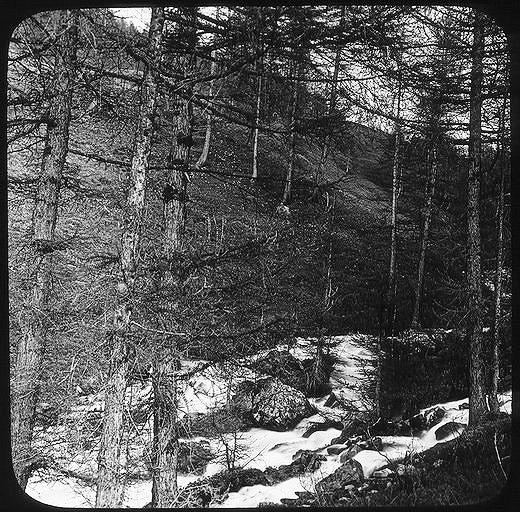 Descente du Col de Vars