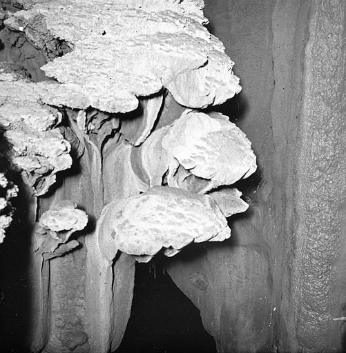 Gouffre de Padirac : détail de la paroi