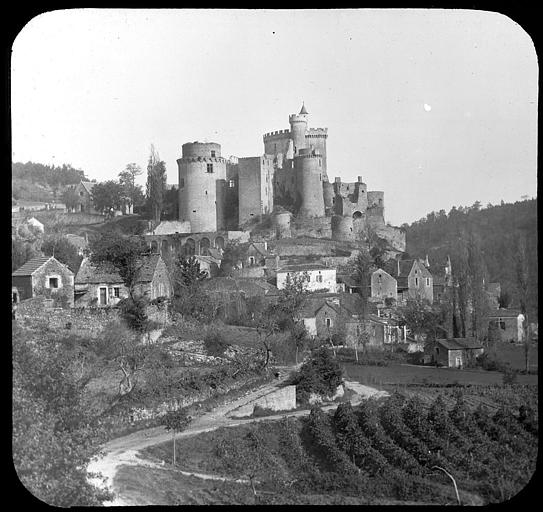 Le château et son donjon vus de la vallée