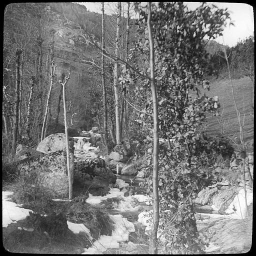 Vallon