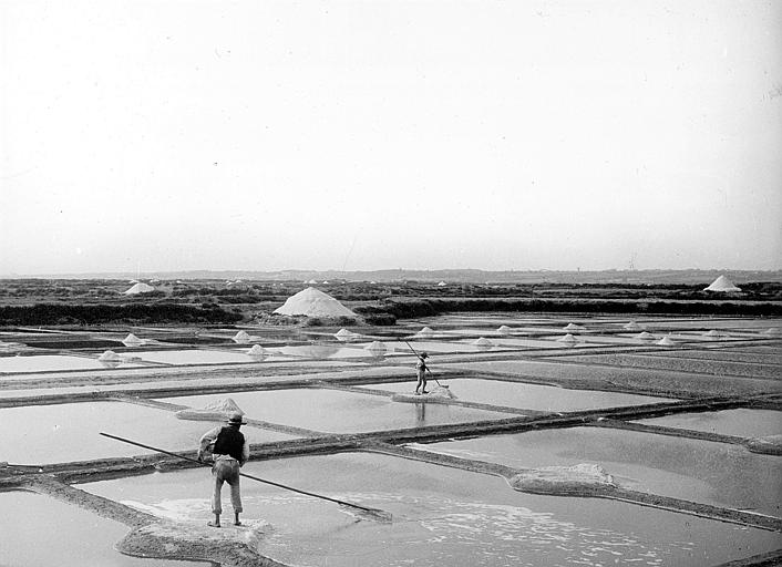 Paludiers au travail dans les marais salants