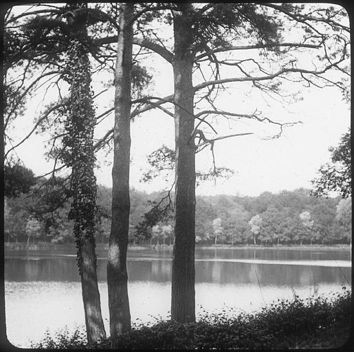 Etangs de Commelles