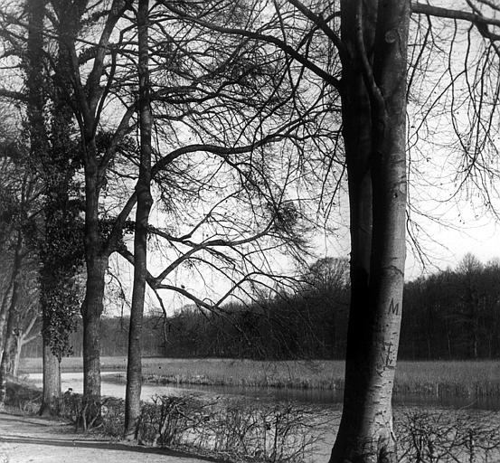 Etang de Commelle