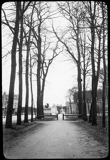 L'entrée de la forêt