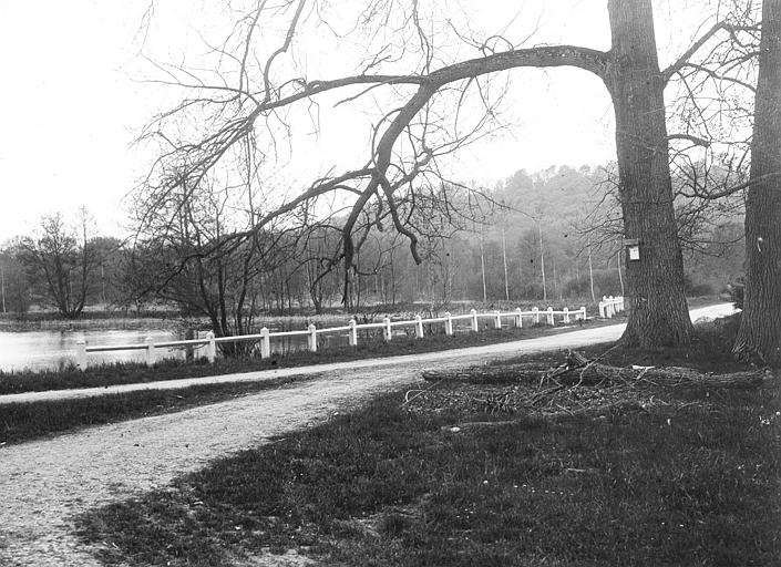 Forêt de Compiègne : etang Saint-Pierre