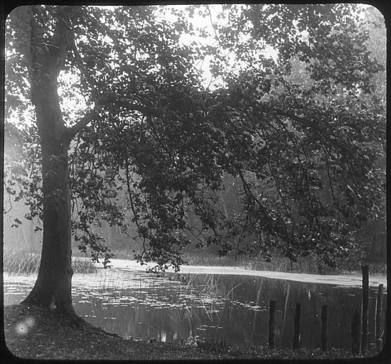 Forêt de Compiègne : etang Sainte-Serine