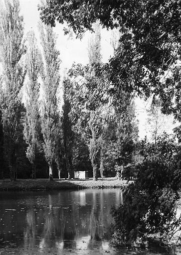 Etang dans le parc