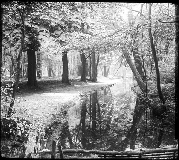 Le parc, sous-bois