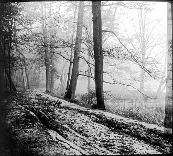 Le parc sous la neige