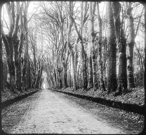 Parc, la grande Allée